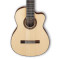 قیمت خرید فروش گیتار کلاسیک  Ibanez G208CWC NT